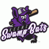 Portsmouth's Hewitt, Marshwood's McDaniel power Sanford Mainers of NECBL