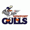 Portsmouth's Hewitt, Marshwood's McDaniel power Sanford Mainers of NECBL